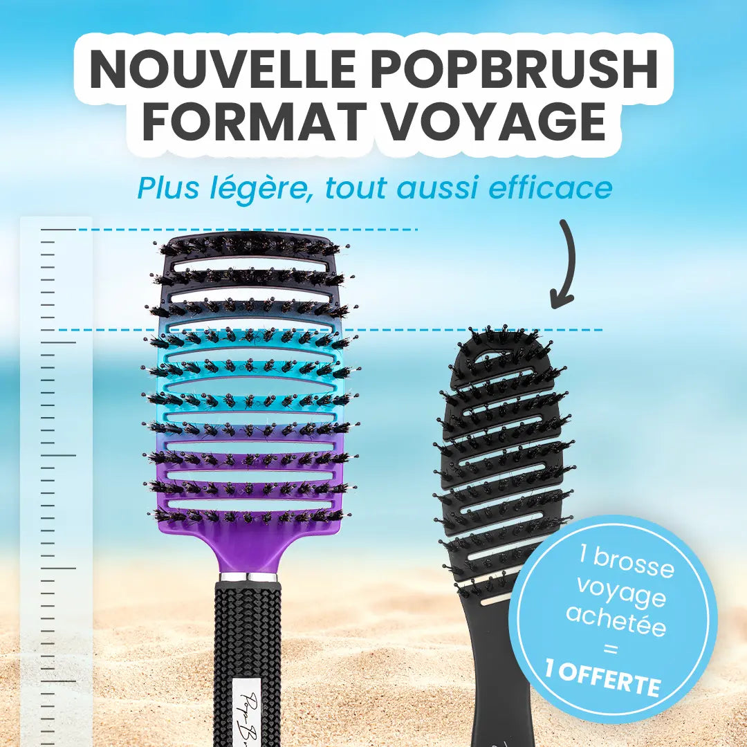 LA BROSSE DÉMÊLANTE FORMAT VOYAGE