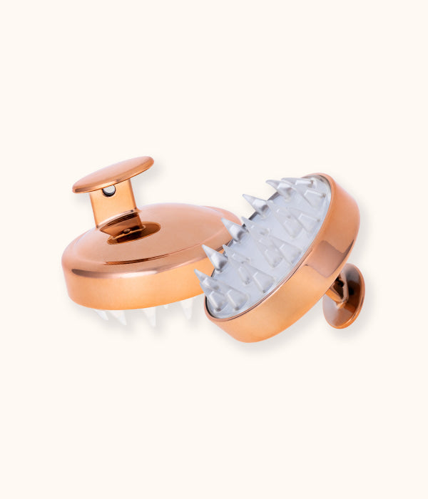UNE SHAMPOO BROSSE