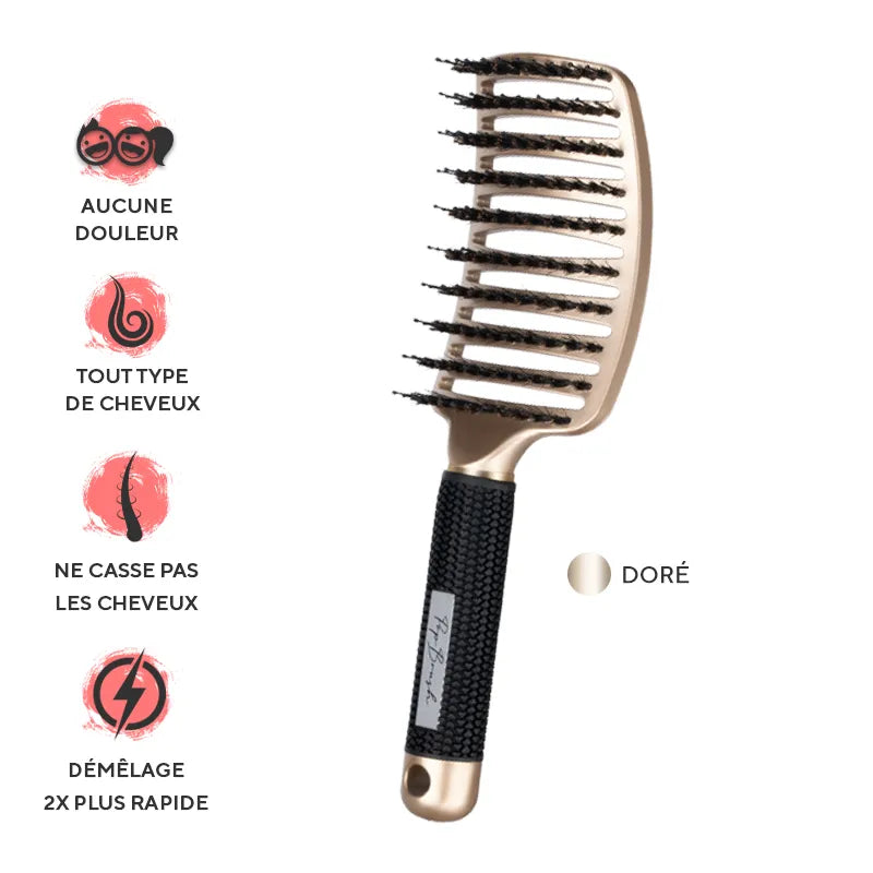 Popbrush trio voyage