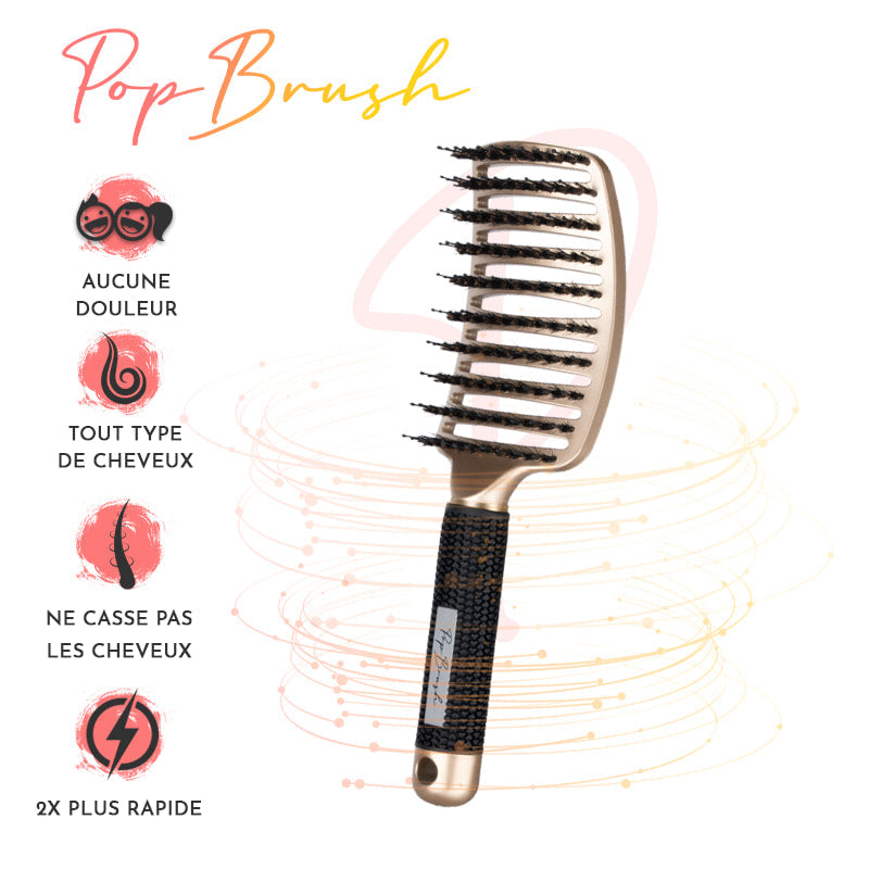 Pack 2 brosses+ brosse sac à main + clip magique
