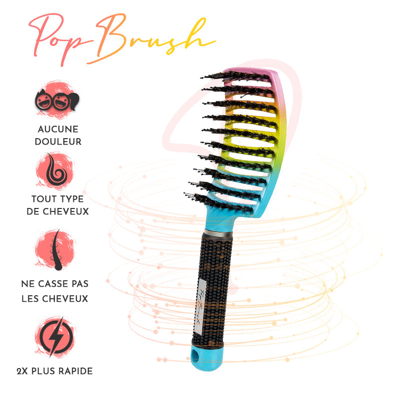 Pack 2 brosses+ brosse sac à main + clip magique