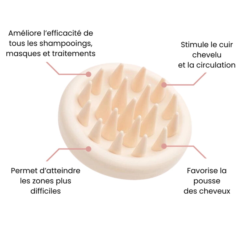 1 BROSSE ACHETÉE = 1 DÉMÊLANTE + 1 SHAMPOO OFFERTES