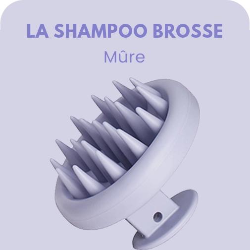 LA SHAMPOO BROSSE