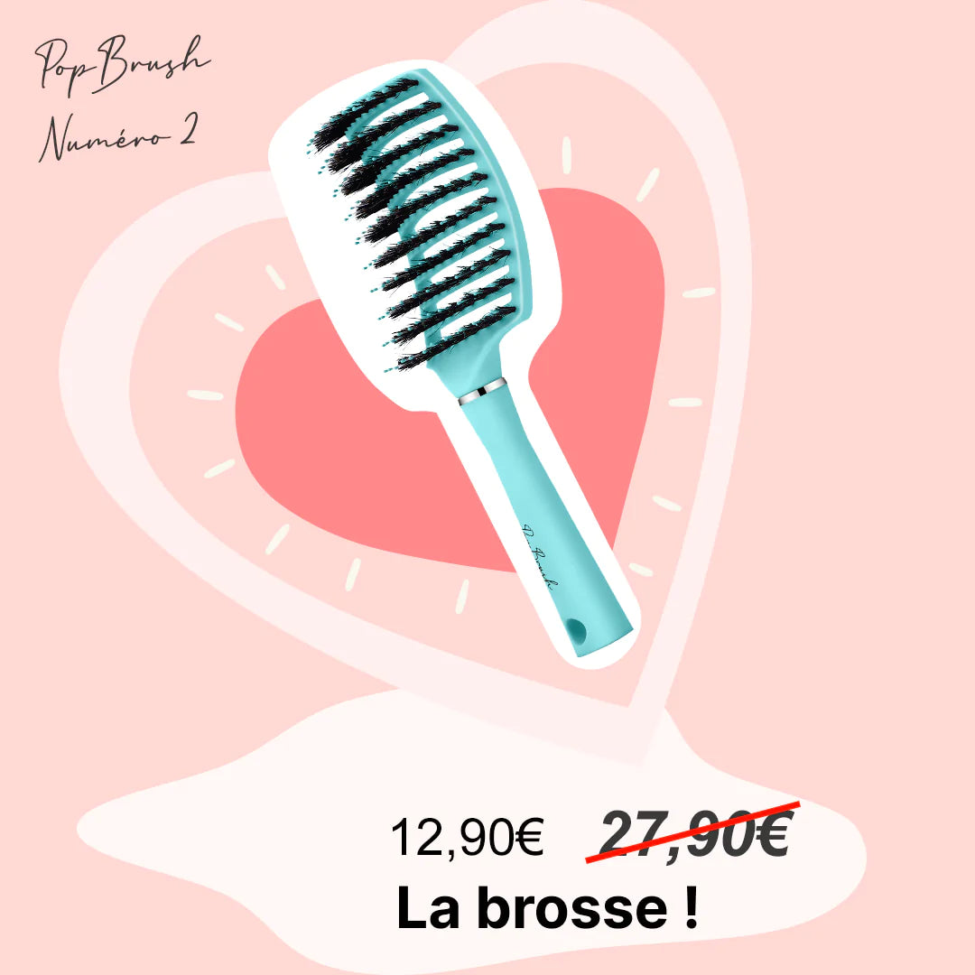 LA BROSSE DÉMÊLANTE À OFFRIR