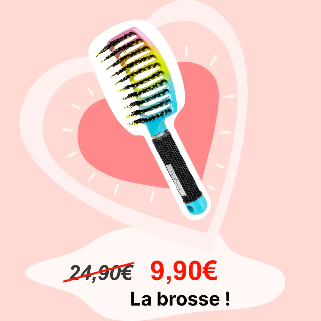 LA BROSSE DÉMÊLANTE À OFFRIR