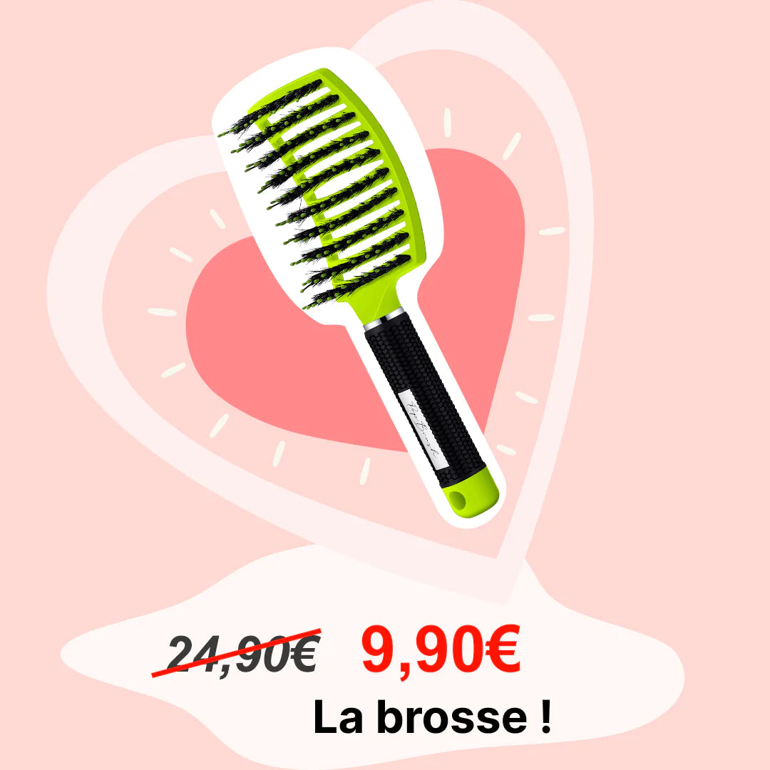 LA BROSSE DÉMÊLANTE À OFFRIR