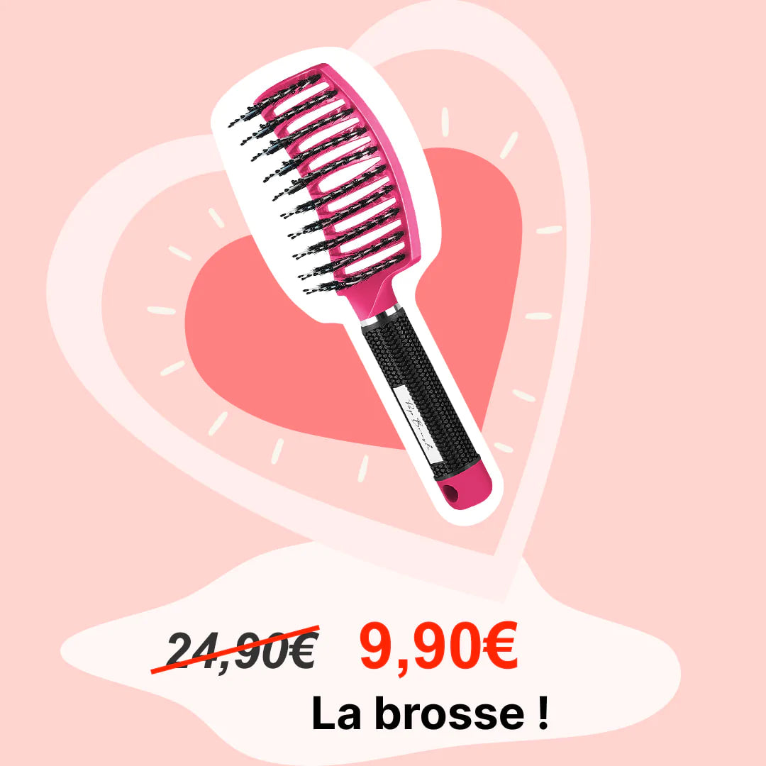LA BROSSE DÉMÊLANTE À OFFRIR