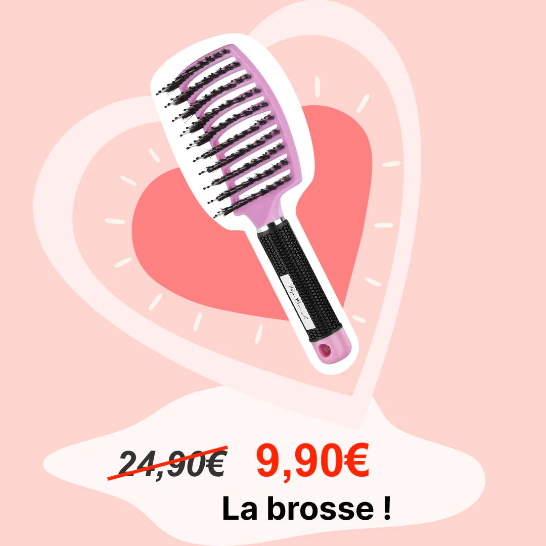 LA BROSSE DÉMÊLANTE À OFFRIR