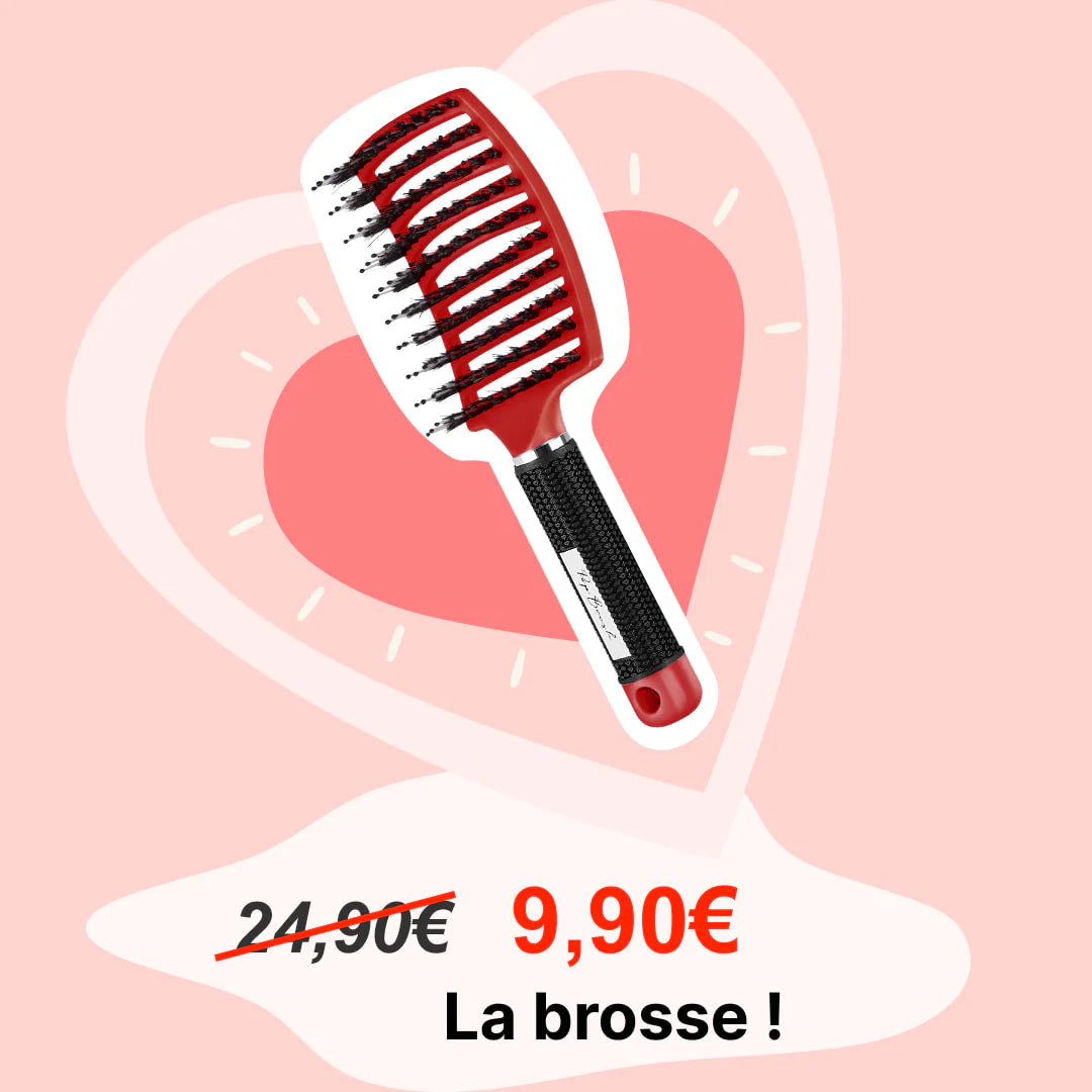 LA BROSSE DÉMÊLANTE À OFFRIR
