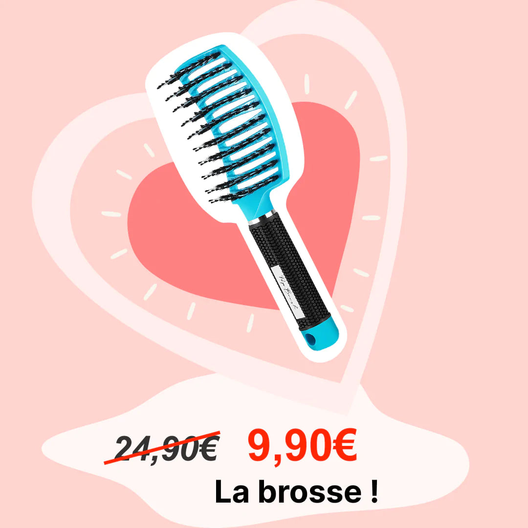 LA BROSSE DÉMÊLANTE À OFFRIR