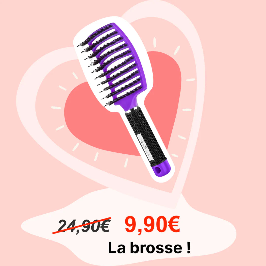 LA BROSSE DÉMÊLANTE À OFFRIR