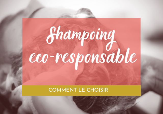 Comment choisir un Shampoing Eco-Responsable pour Cheveux Bouclés, Crépus ou Secs ?