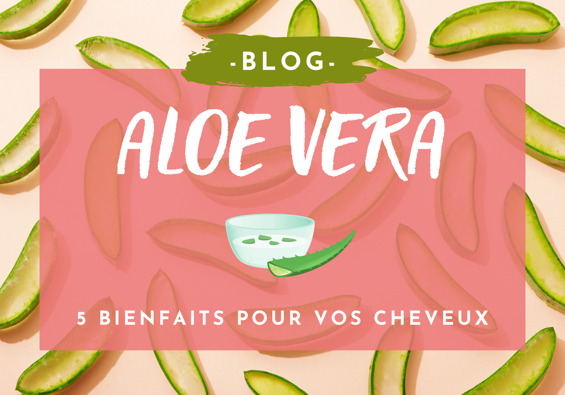 Les 5 Bienfaits de l'Aloe Vera pour les cheveux
