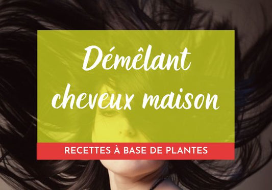 Démêlant Cheveux Maison : Les Meilleures Recettes à Base de Plantes