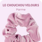 UN CHOUCHOU VELOUR — Parme