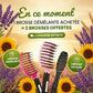Popbrush OFFRE SUMMER