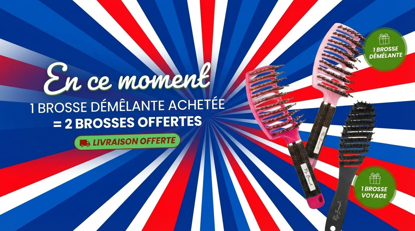 Pbfr Frenchdays Banner