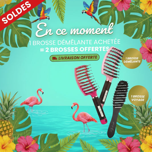 LA BROSSE DÉMÊLANTE Numéro 2