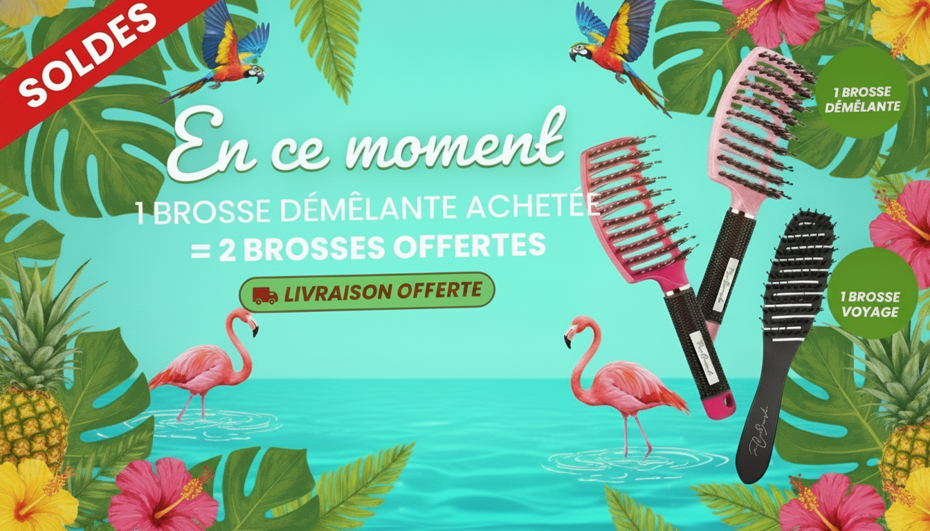 Soldes Été 2026 — 1 brosse achetée = 2 offertes — livraison offerte