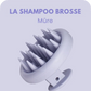 UNE SHAMPOO BROSSE — Mûre