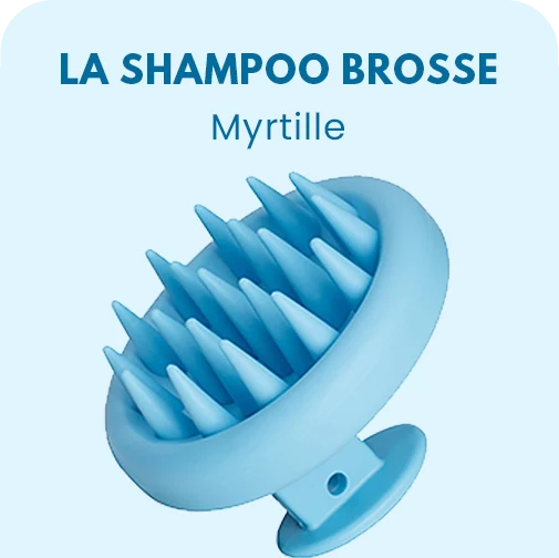 UNE SHAMPOO BROSSE — Myrtille